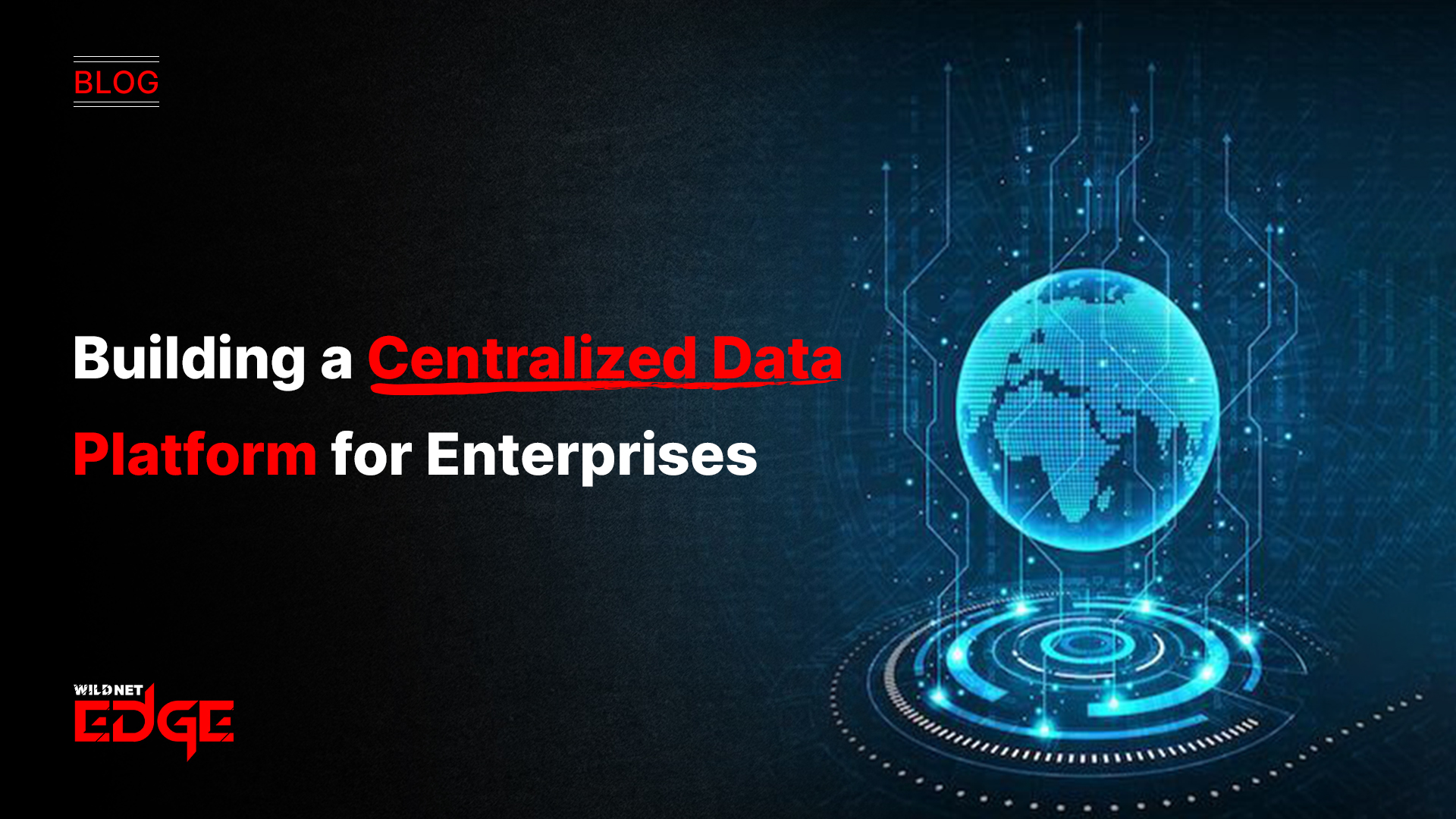 Building a Centralized Data Platform for Enterprises