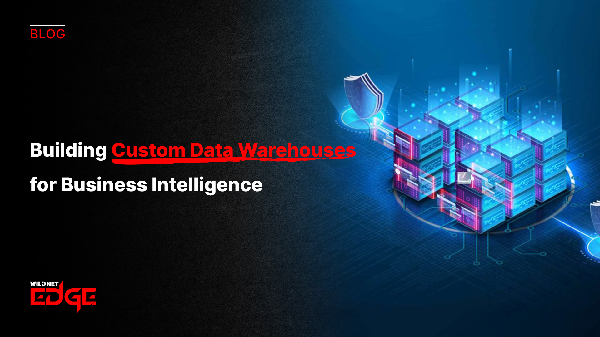 Building Custom Data Warehouses for Business Intelligence