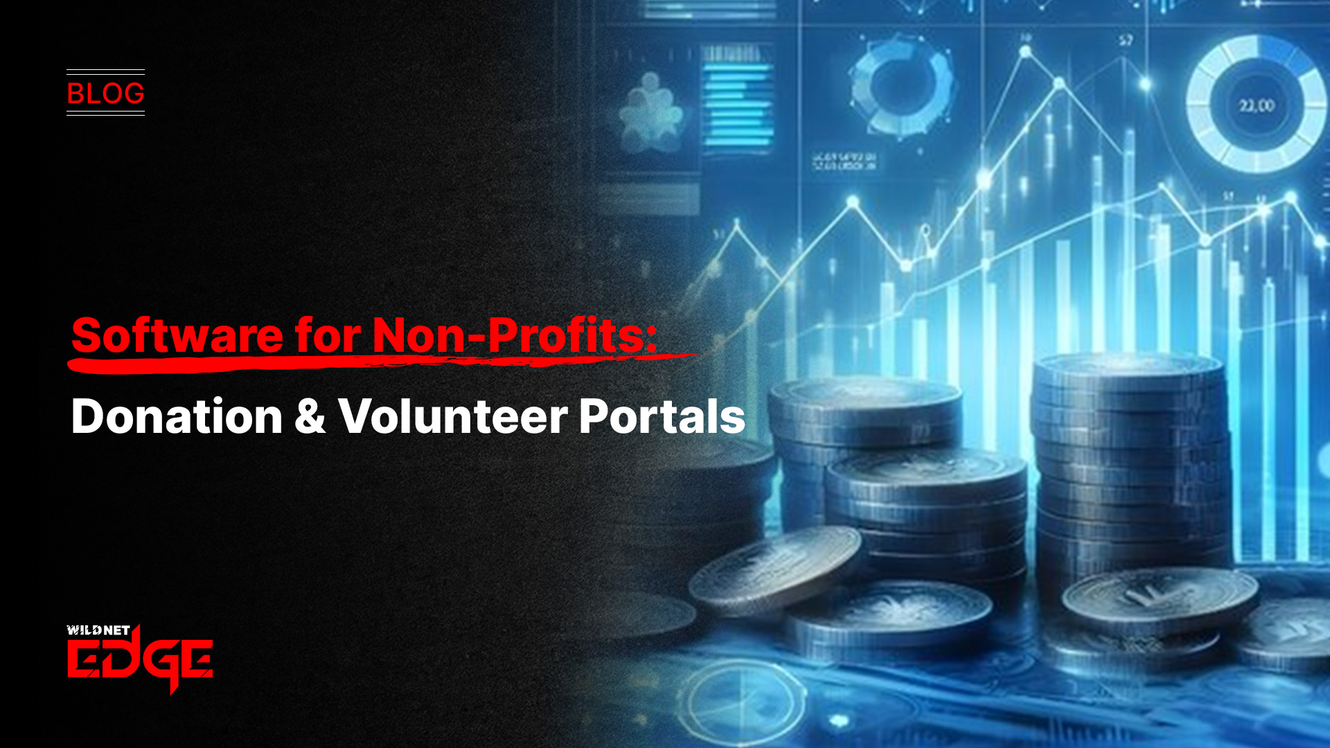 Software Development for Non-Profits: Donation & Volunteer Portals