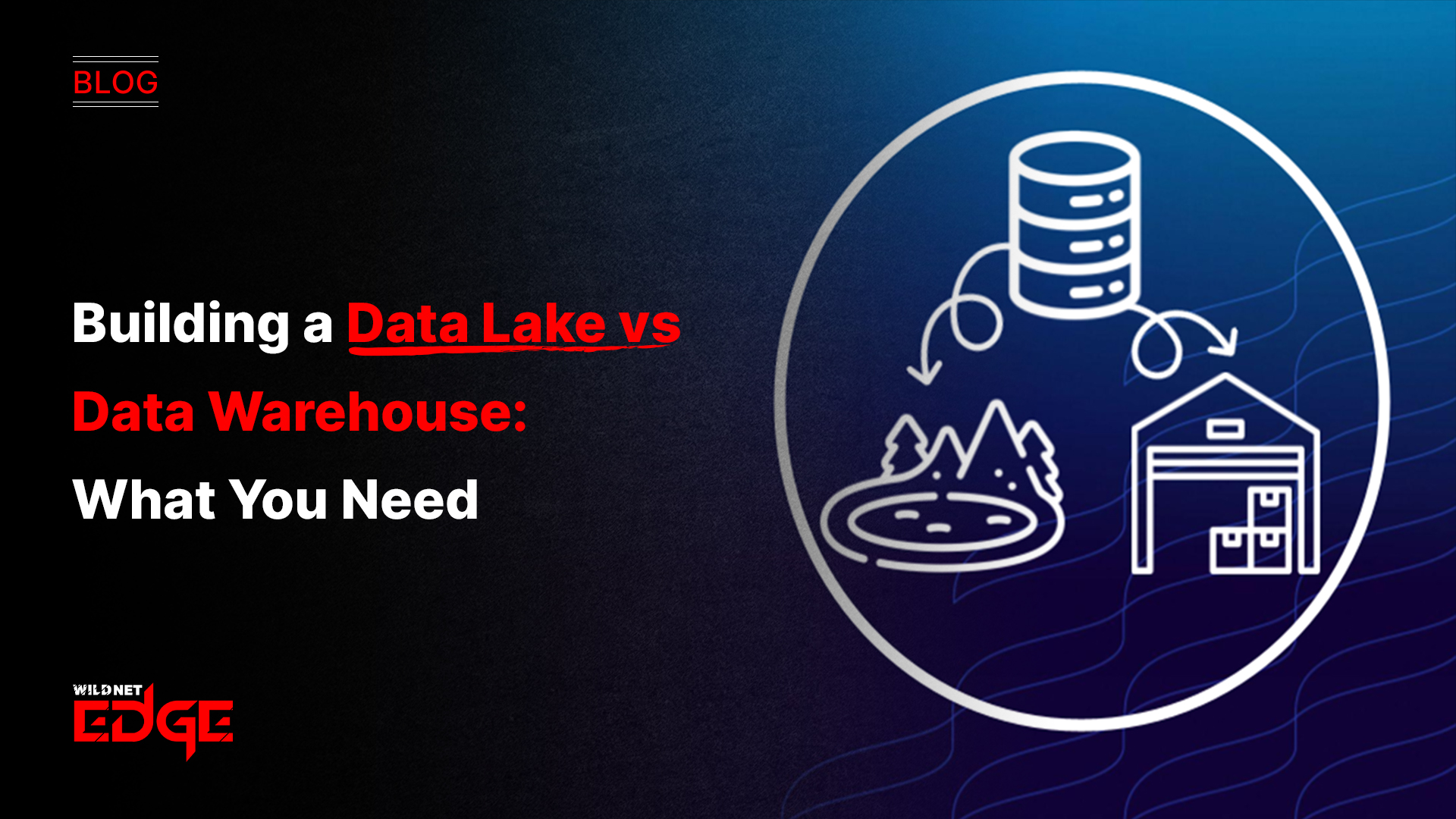 Building a Data Lake vs Data Warehouse: What You Need