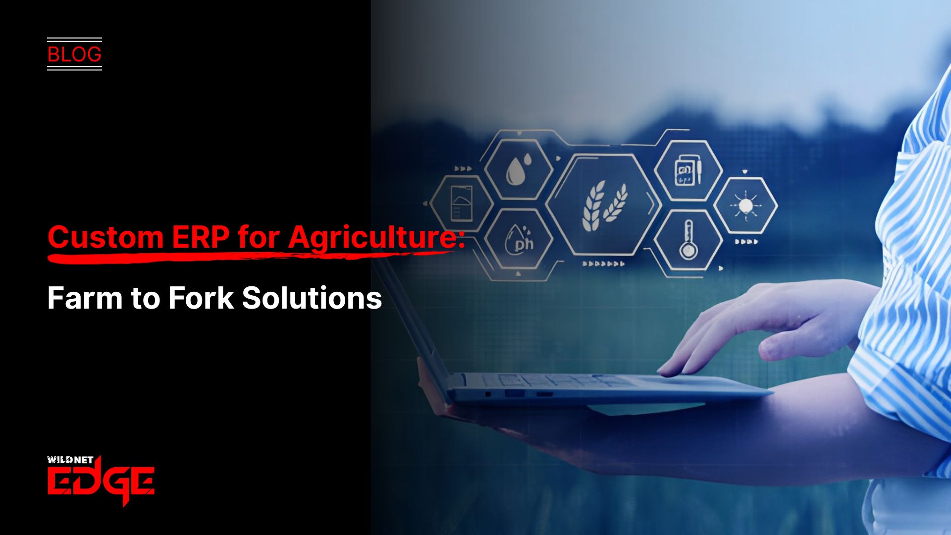 Custom ERP for Agriculture: Farm to Fork Solutions
