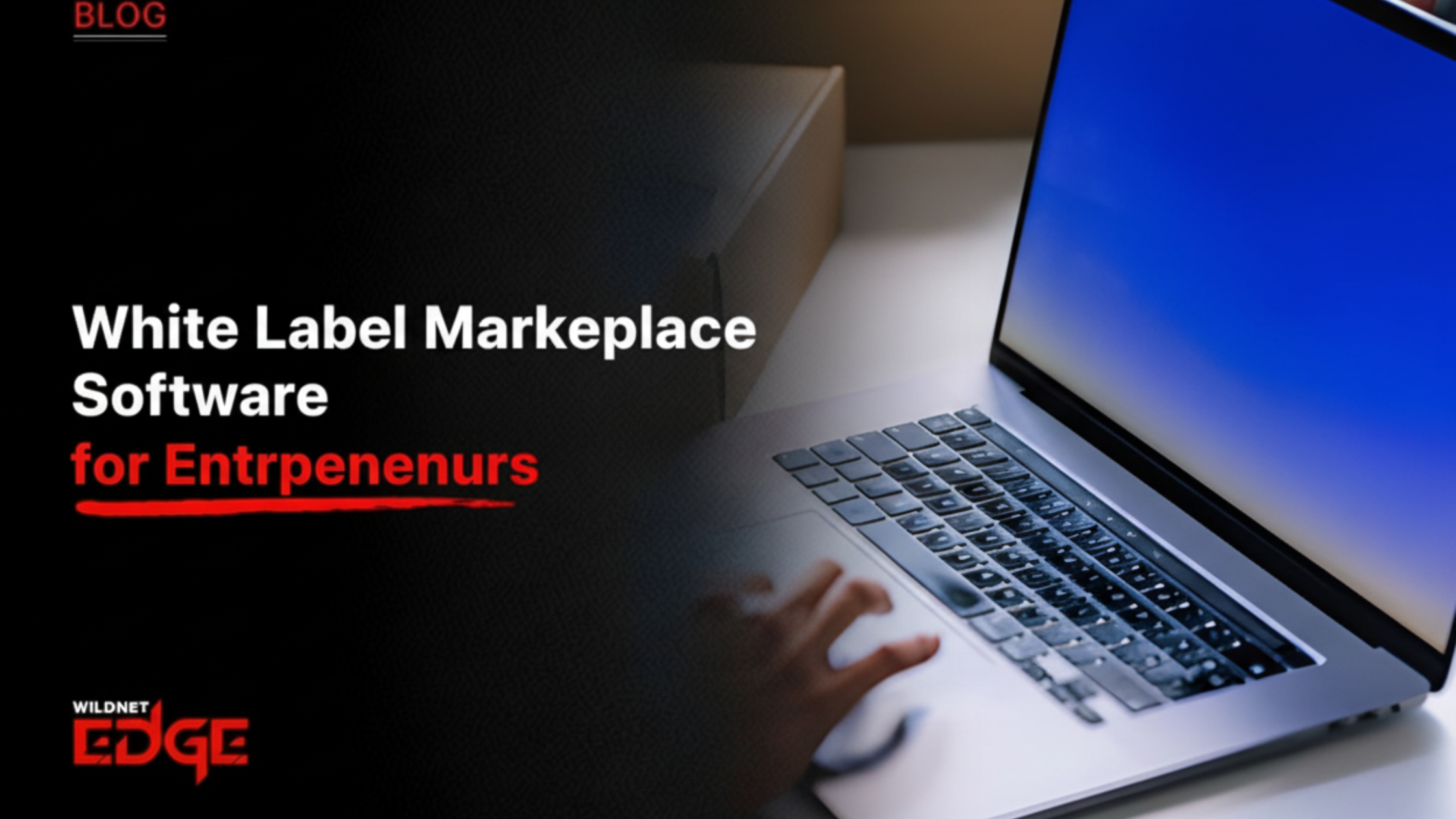 White Label Marketplace Software for Entrepreneurs