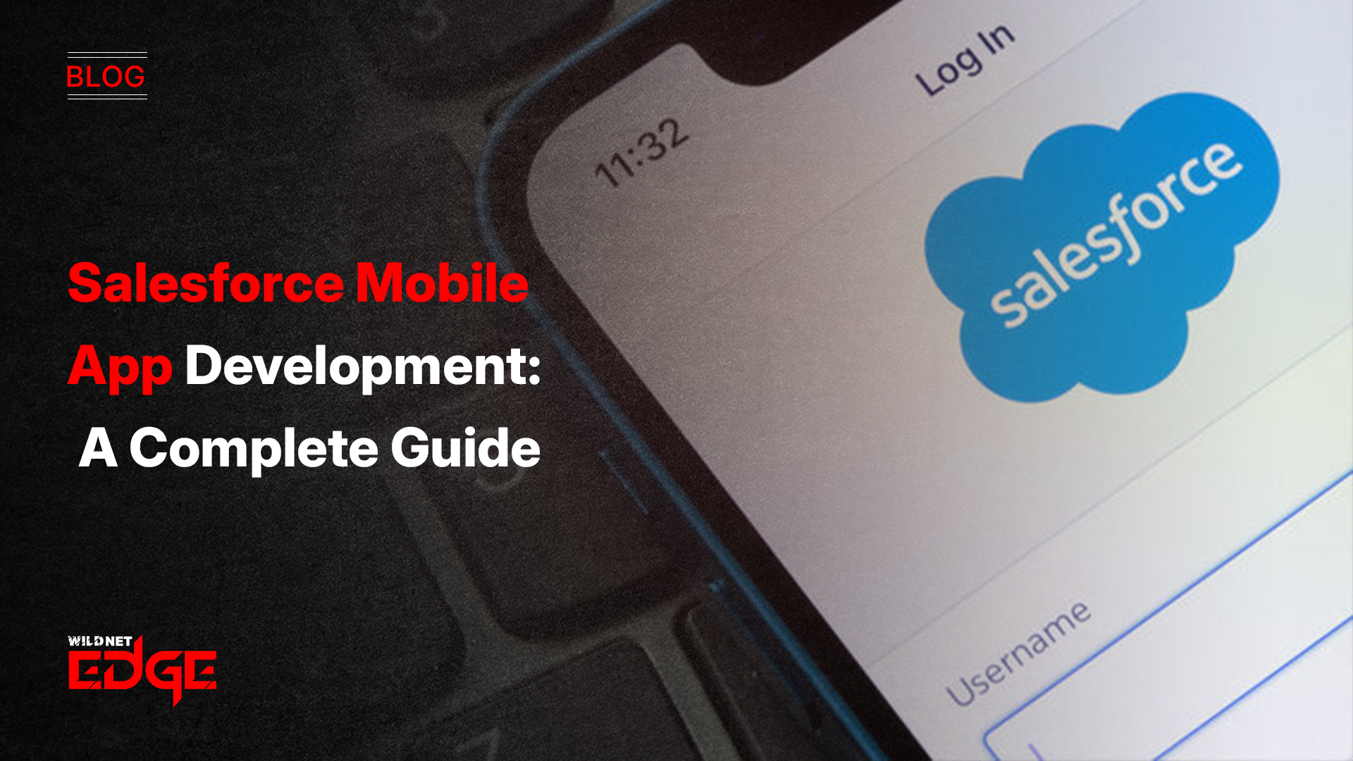Salesforce Mobile App