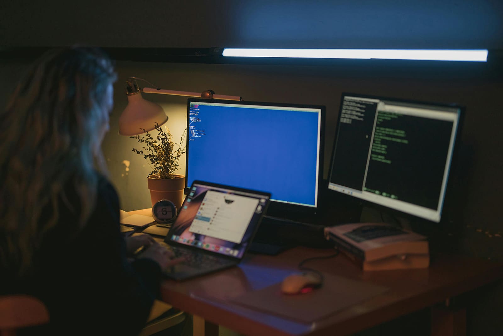 no-code-software-development-future-of-democratized-tech