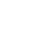 Angular-icon-white