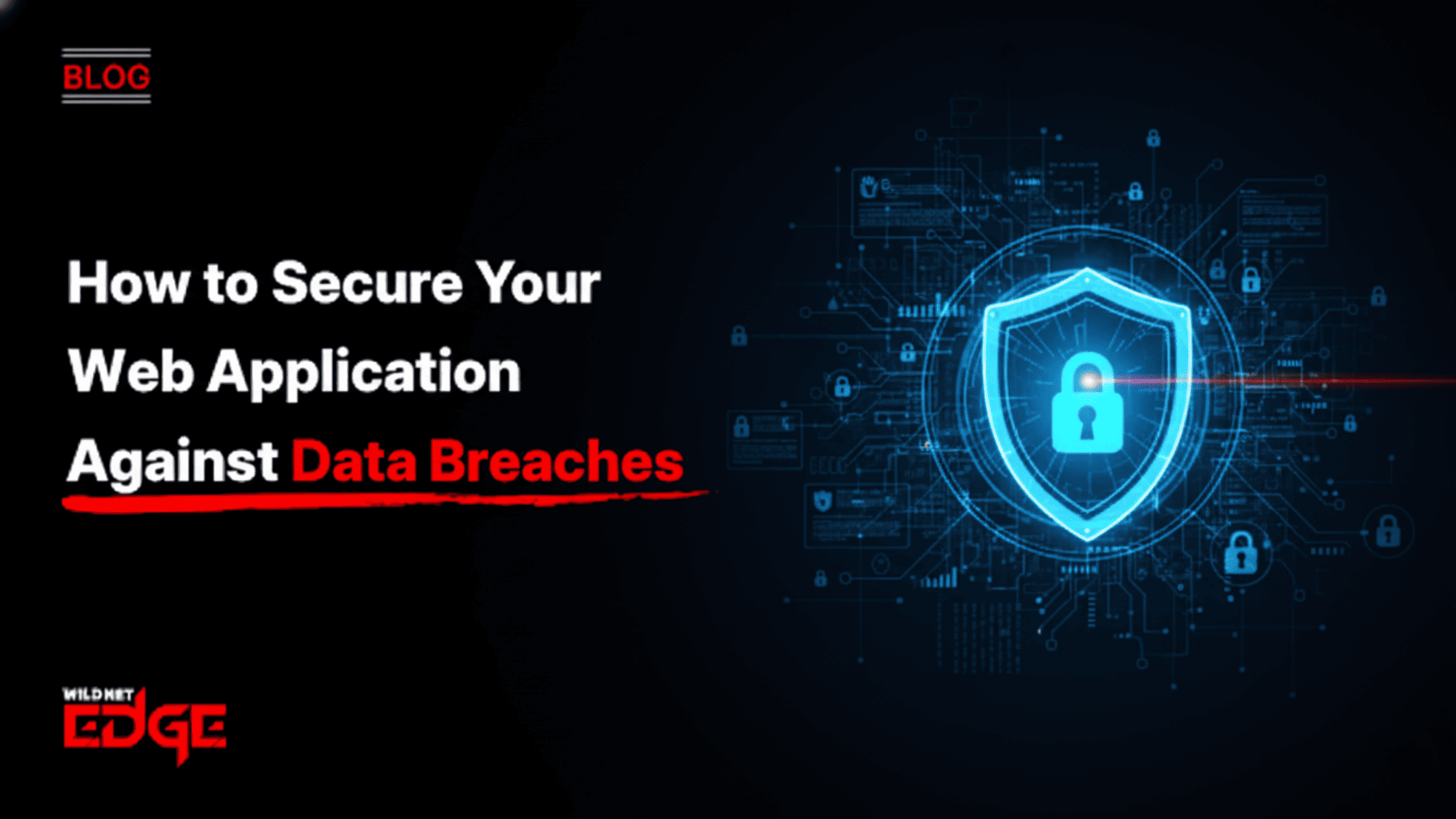 How to Secure Your Web Application Against Data Breaches