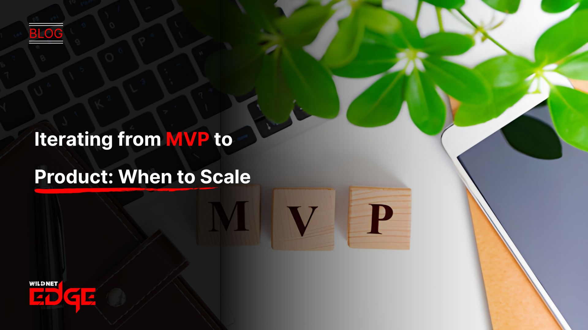 Iterating from MVP to Product When to Scale
