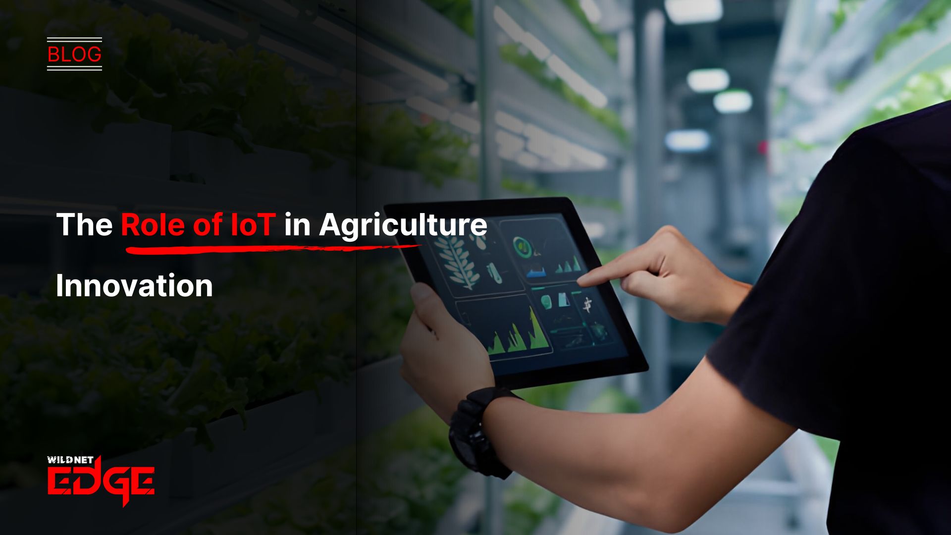 The Role of IoT in Agriculture Innovation