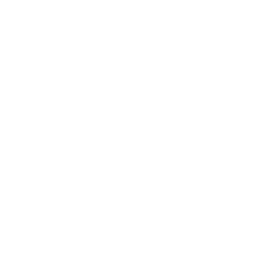 VUE-icon-white