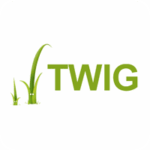 twig
