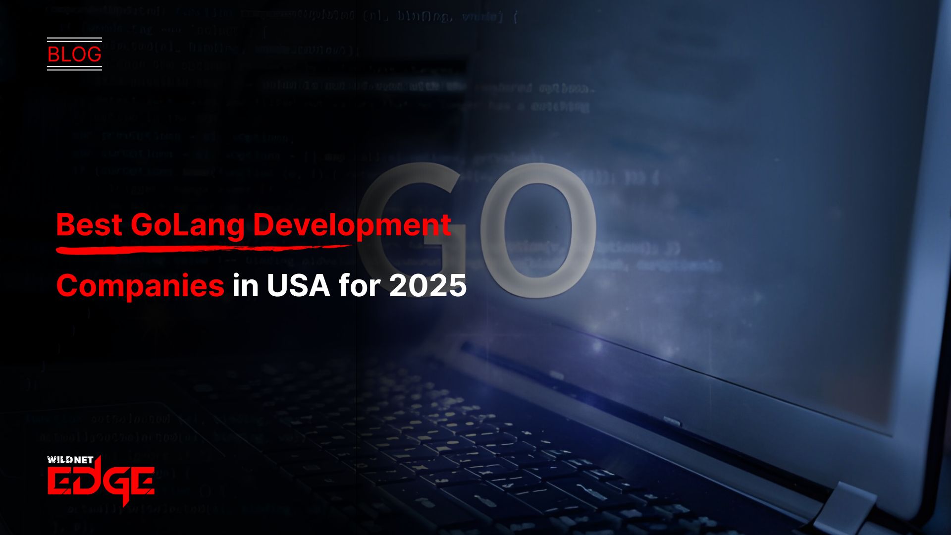 Best GoLang Development Companies in USA for 2025