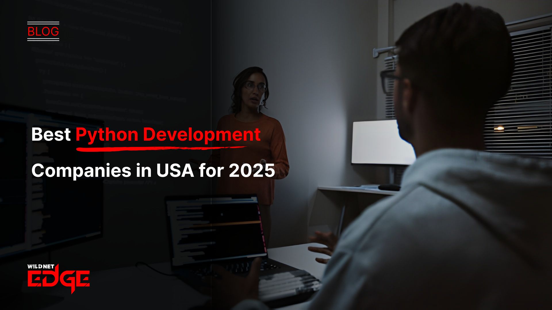 Best Python Development Companies in USA for 2025