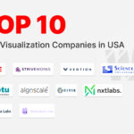 Data Visualization Companies in USA