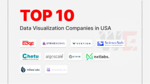 Data Visualization Companies in USA