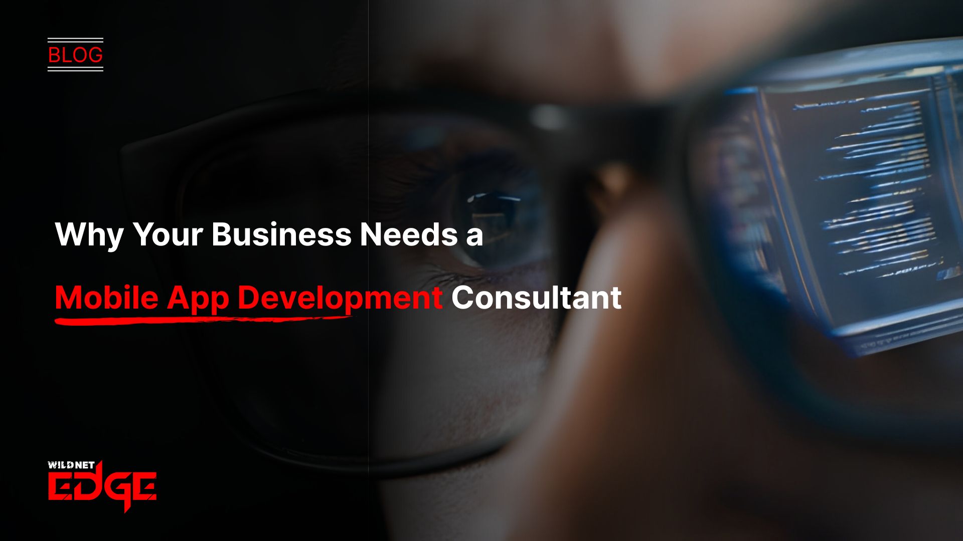 Why Your Business Needs a Mobile App Development Consultant