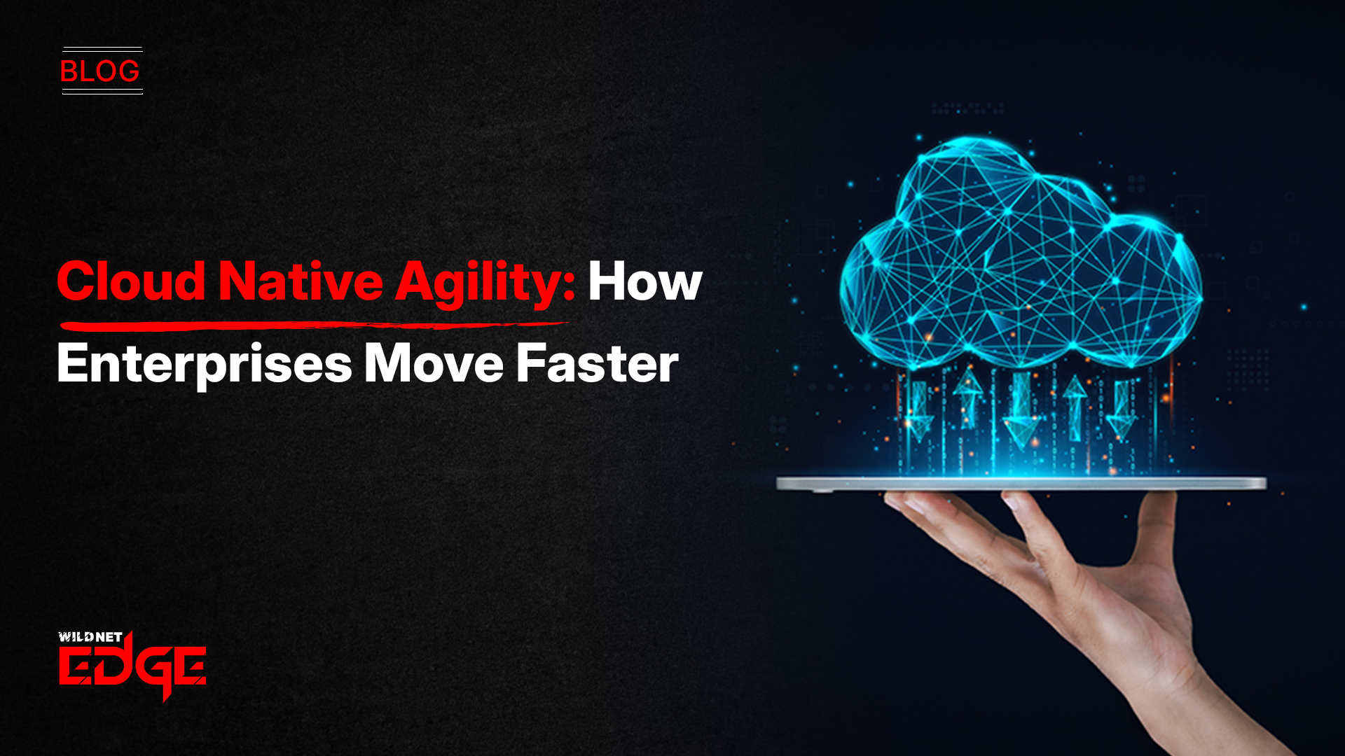 Cloud Native Agility