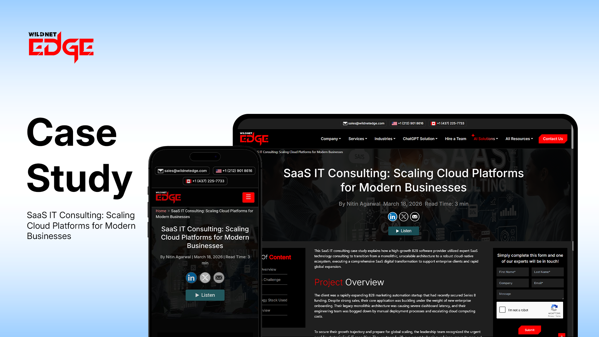 SaaS IT Consulting